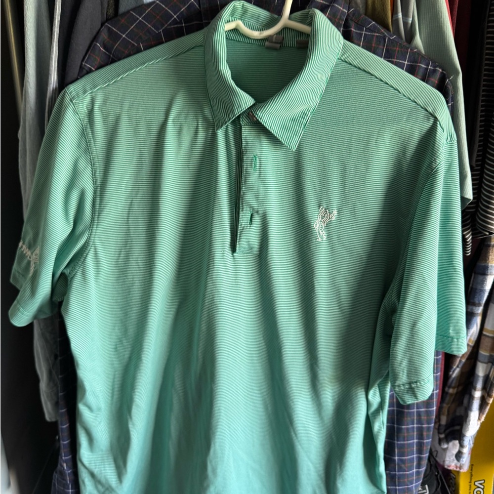 Ashworth Mint Green Polo Shirt